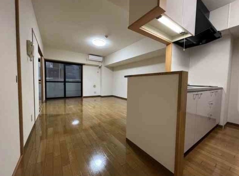 ディナミス その他2