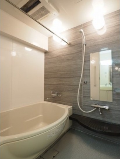 ディナミス その他3