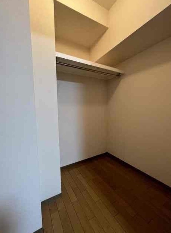 ディナミス その他6