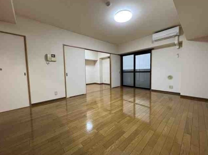 ディナミス その他17