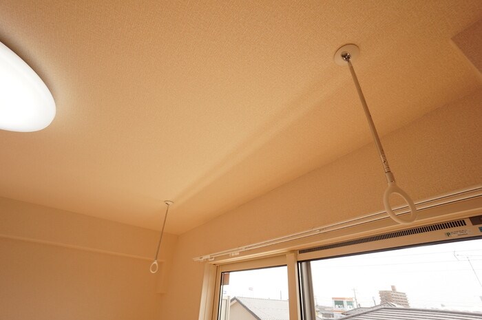 コートイーリス その他9