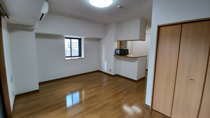 ディナミス その他1