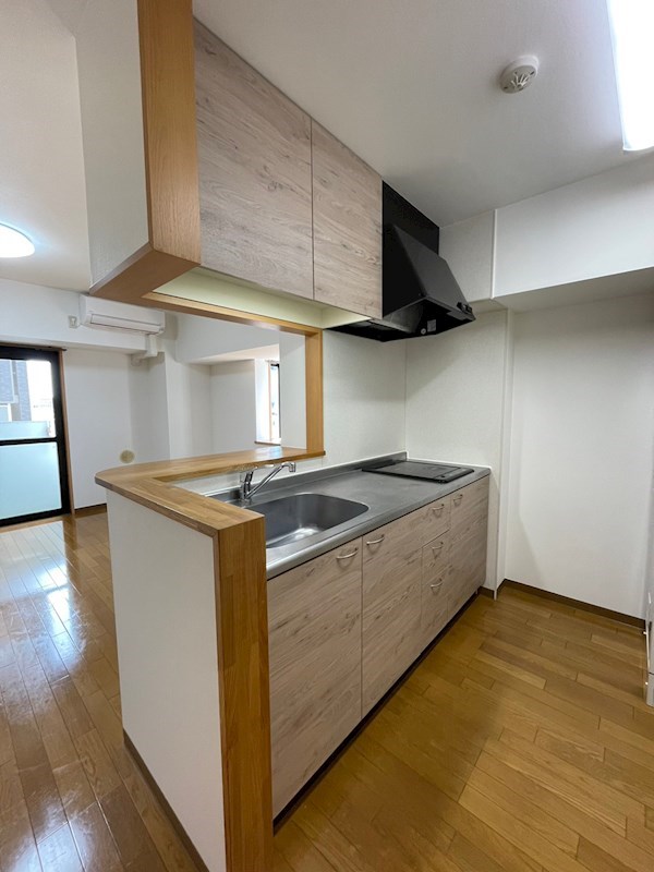 ディナミス その他2