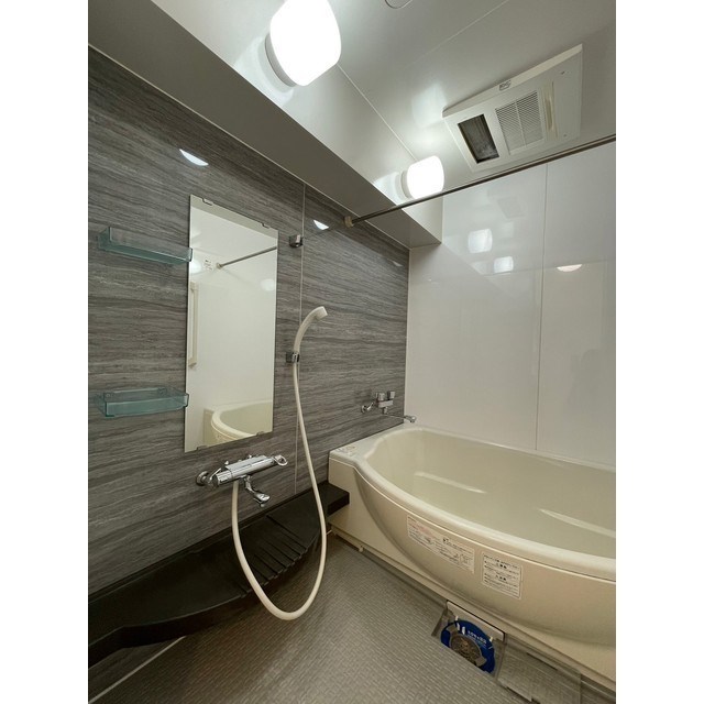 ディナミス その他3