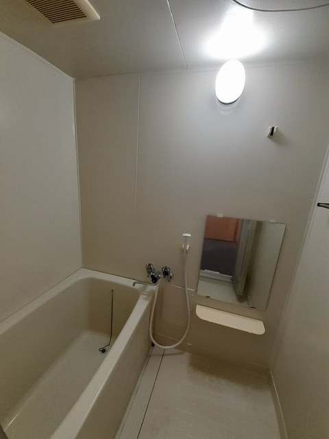 プラドール田川 風呂画像