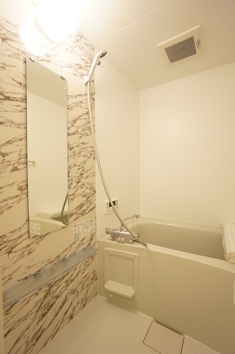 フォルテアA その他4