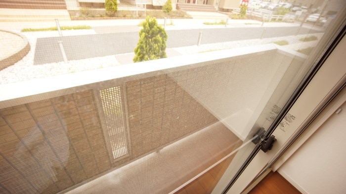 セイチ上近江 その他11