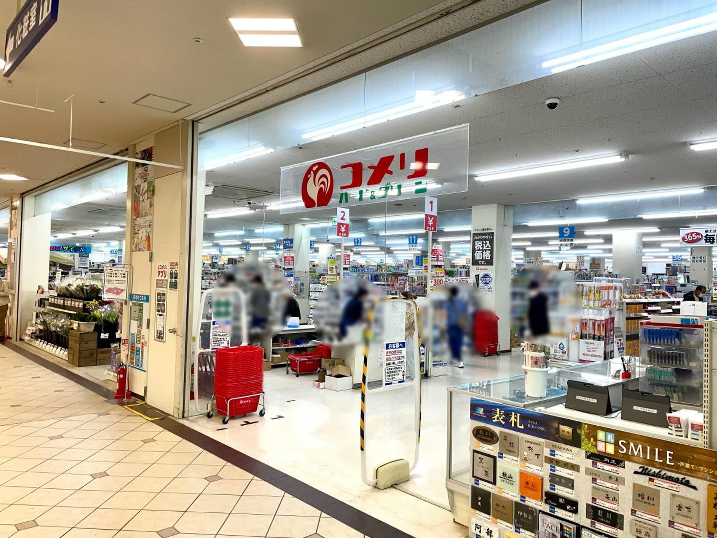 ウィステリアⅡ 周辺画像5