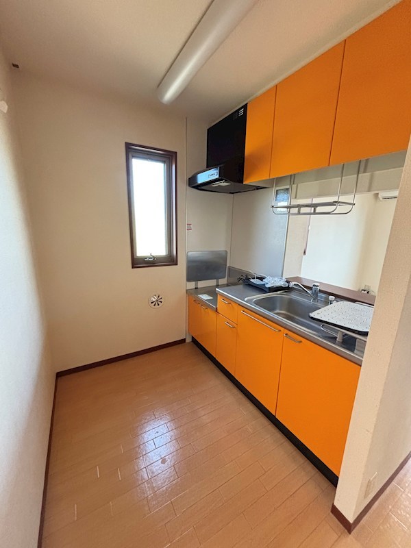 エトピリカ その他2