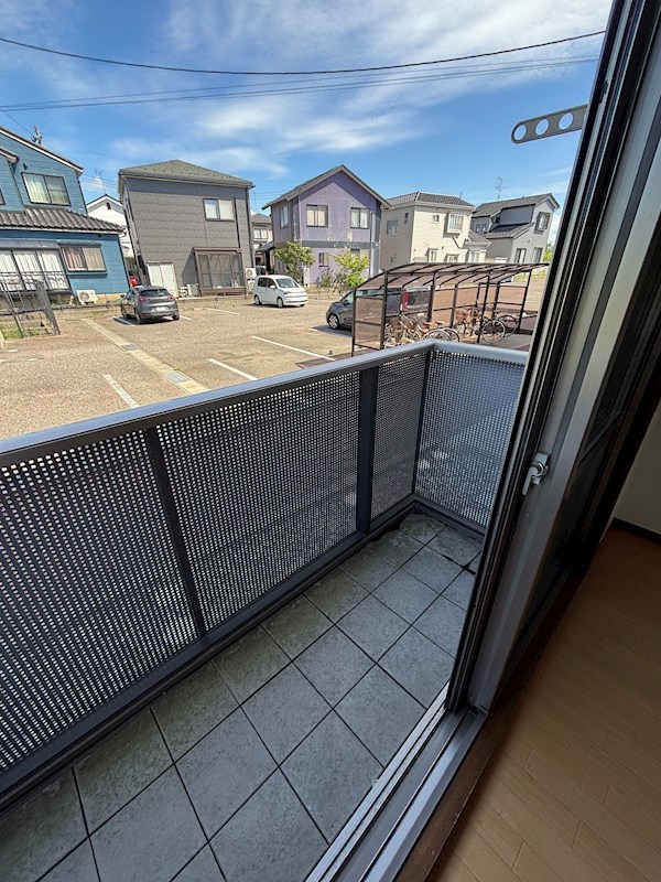 エトピリカ その他11