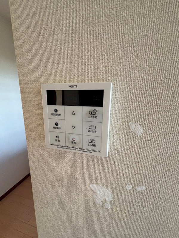 エトピリカ その他17