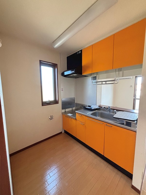 エトピリカ その他20