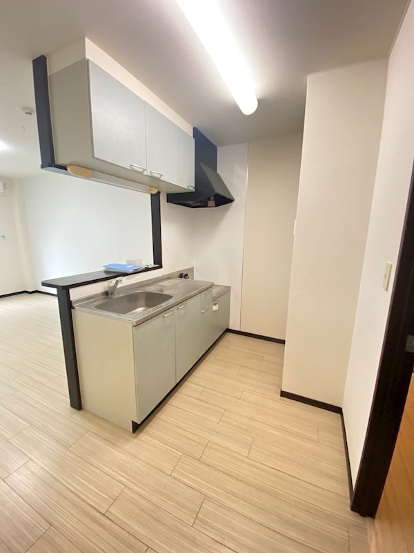 フラットピット その他1