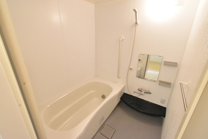 エクレール・カメリア その他4