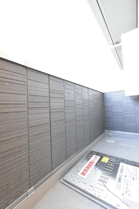 ピターニュ　B その他9