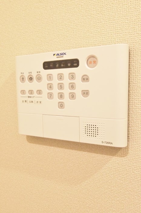 ピターニュ　B その他10