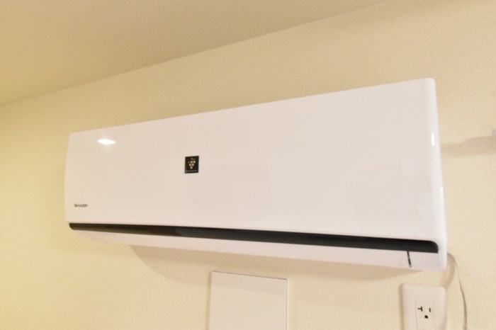 ピターニュ　B その他15