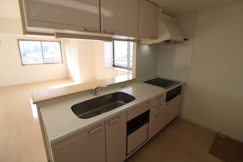 ファーストクラス柳都大橋 その他2