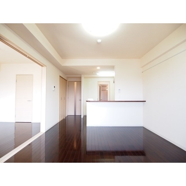 フェリシア鐙 その他1