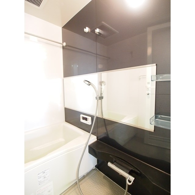 フェリシア鐙 その他3