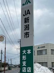 リラ・コンフィ 周辺画像7