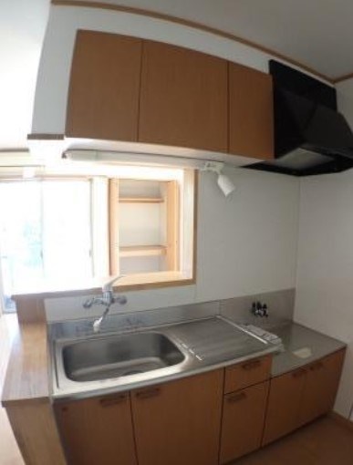 パインテイル　Ⅱ その他2