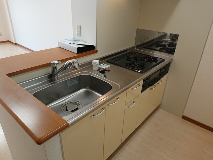 セリージャデトーア その他2