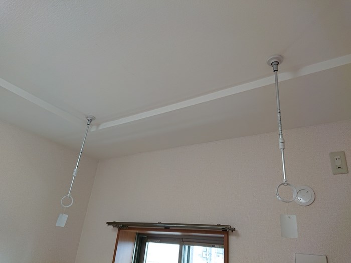 セリージャデトーア その他10