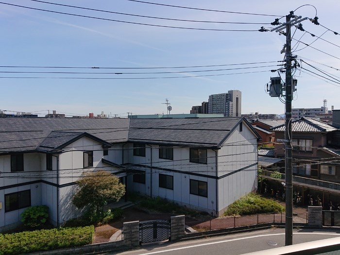 セリージャデトーア その他11