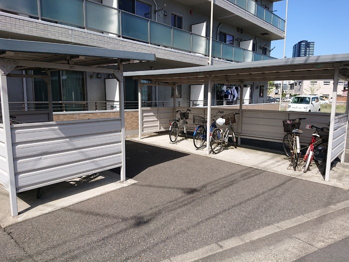 セリージャデトーア その他14