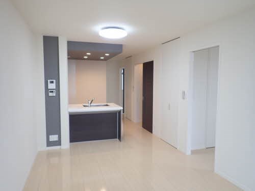 カプリレモン その他1