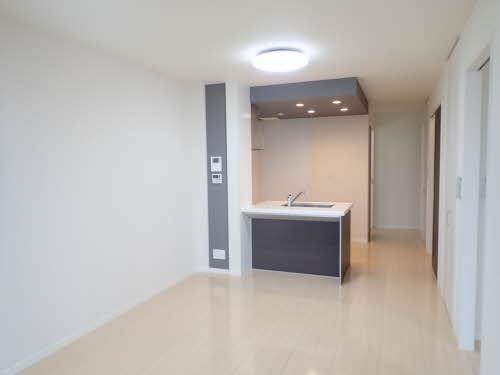 カプリレモン その他2