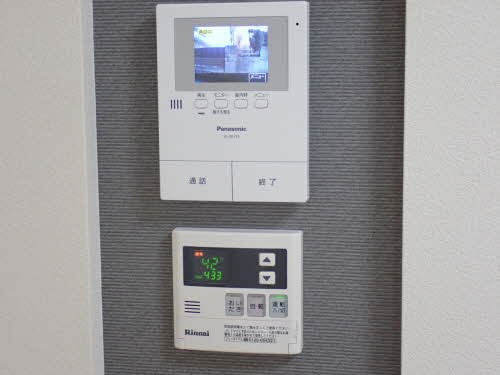 カプリレモン その他10