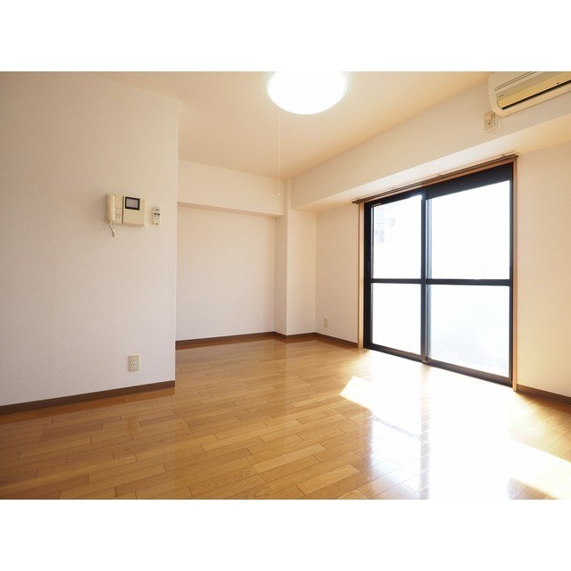 ディナミス その他1