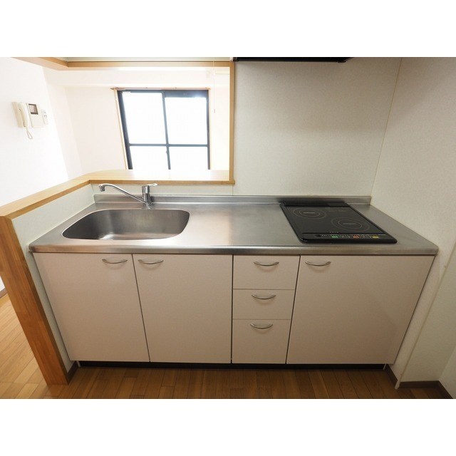 ディナミス その他2