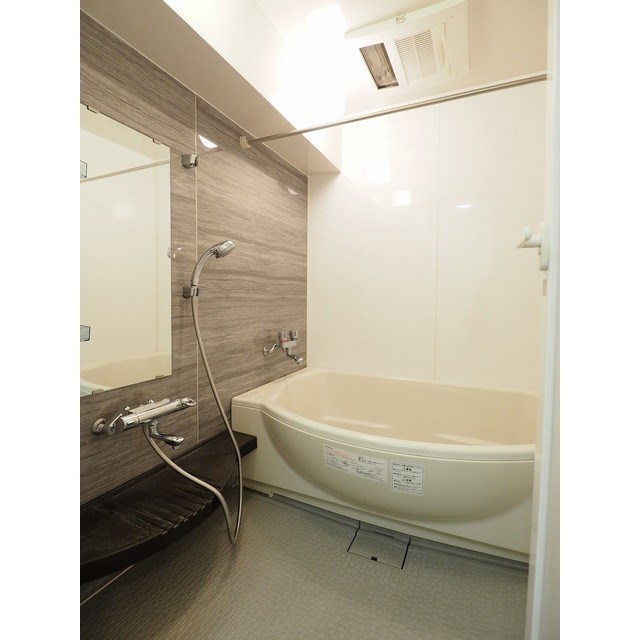 ディナミス その他3