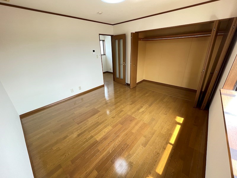 サンセベリアA その他1