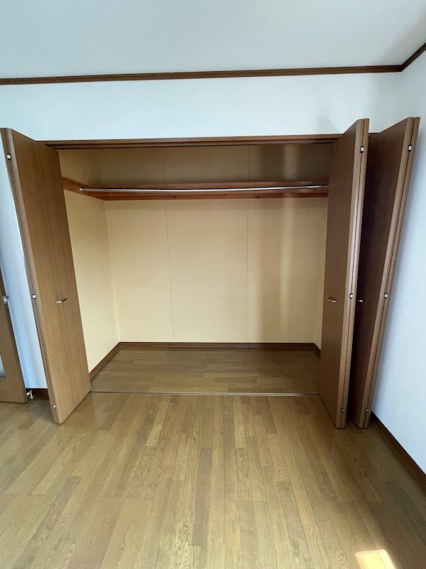サンセベリアA その他8
