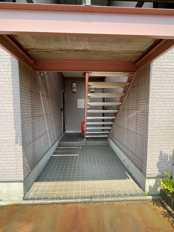 サンセベリアA その他13