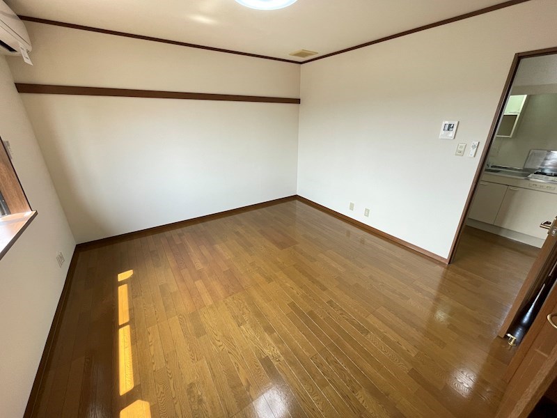 サンセベリアA その他16