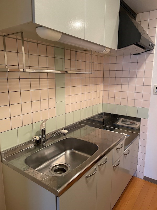 ウッドソレル その他2