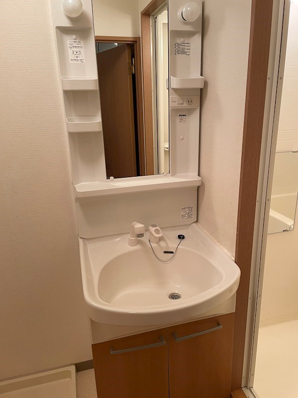 ウッドソレル その他3