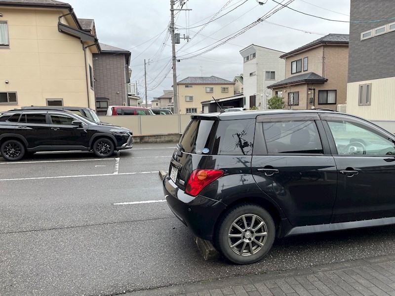 ウッドソレル その他10