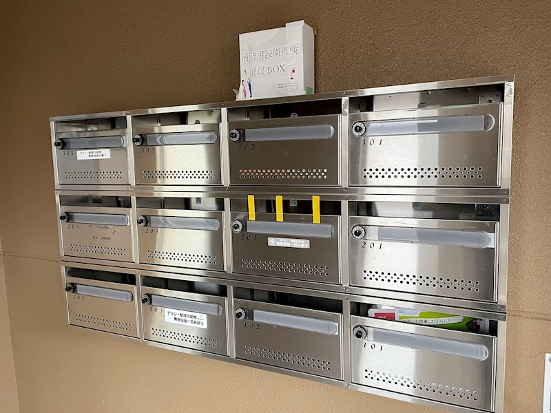 ウッドソレル その他11