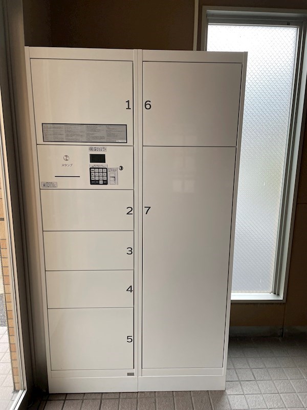 ウッドソレル その他12