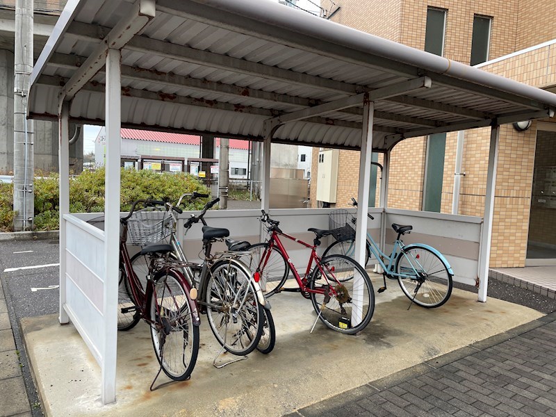 ウッドソレル その他13