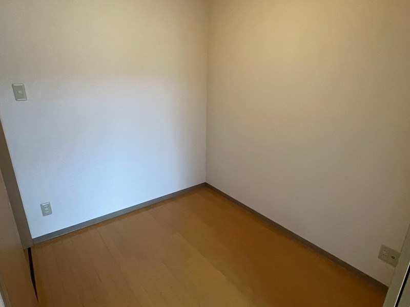 ウッドソレル その他15