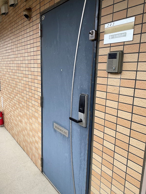 ウッドソレル その他16