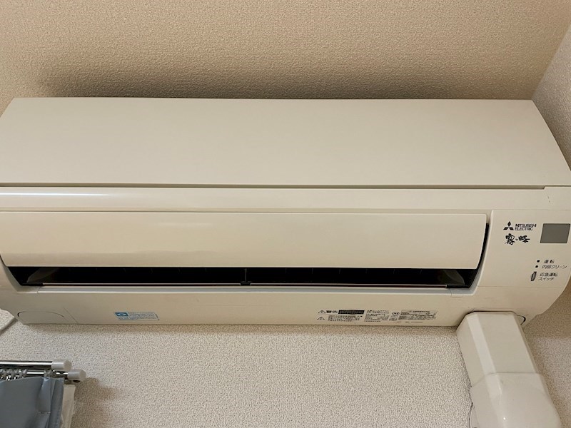 ウッドソレル その他19