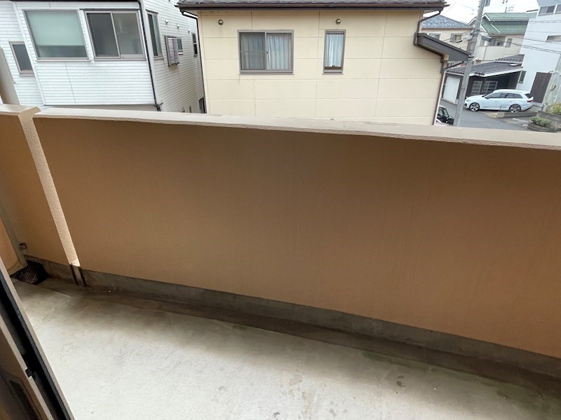 ウッドソレル その他20